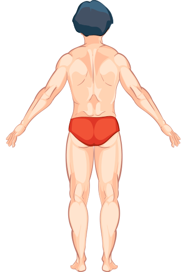 Corpo feminino de costas